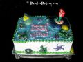 Birthday Cake-Toys 024